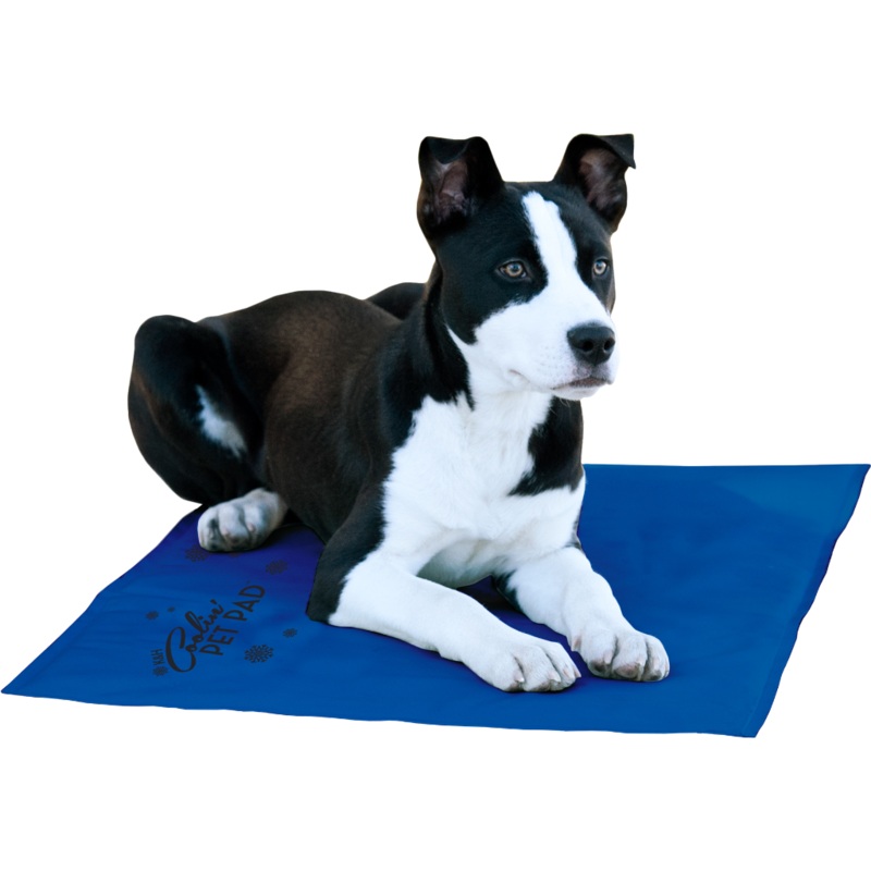 Coolin Pad  BLUE 20x36
