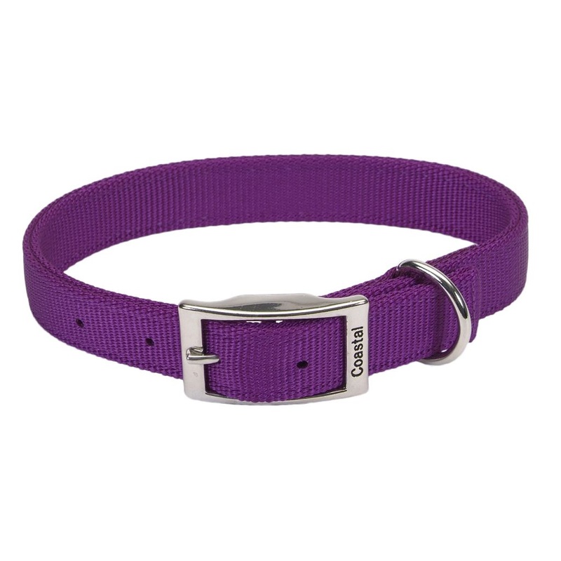 Coastal Double Ply Nylon Collar Purple 24x1"