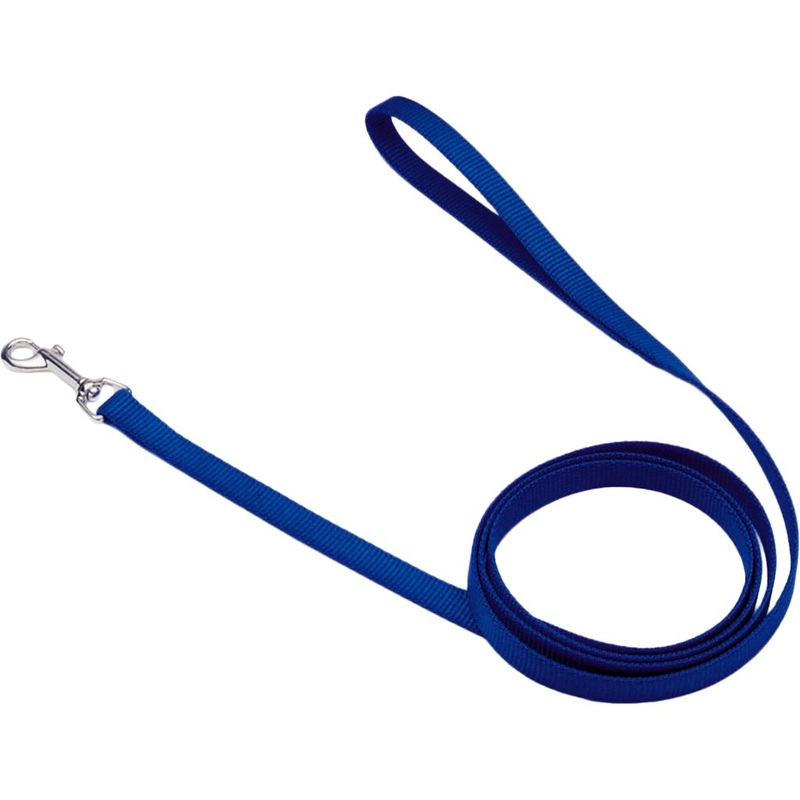 Coastal Nylon Lead Blue 4'x5/8"
