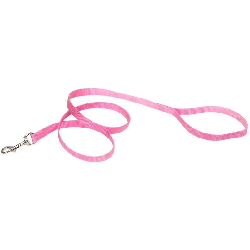 Coastal Nylon Lead Pink 6'x5/8"