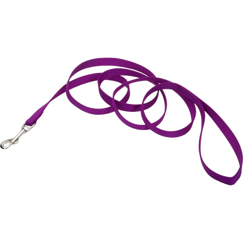 Coastal Nylon Lead Purple 4'x5/8"