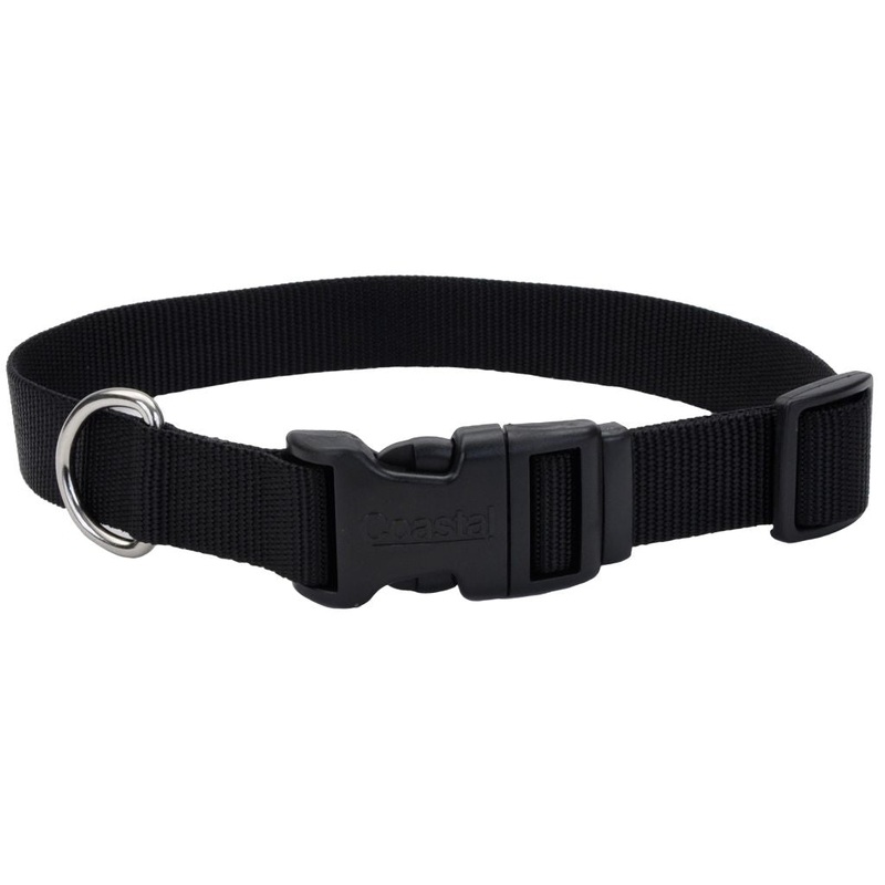 Coastal Tuff Nylon Collar Black Medium