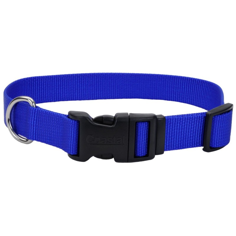 Coastal Tuff Nylon Collar Blue