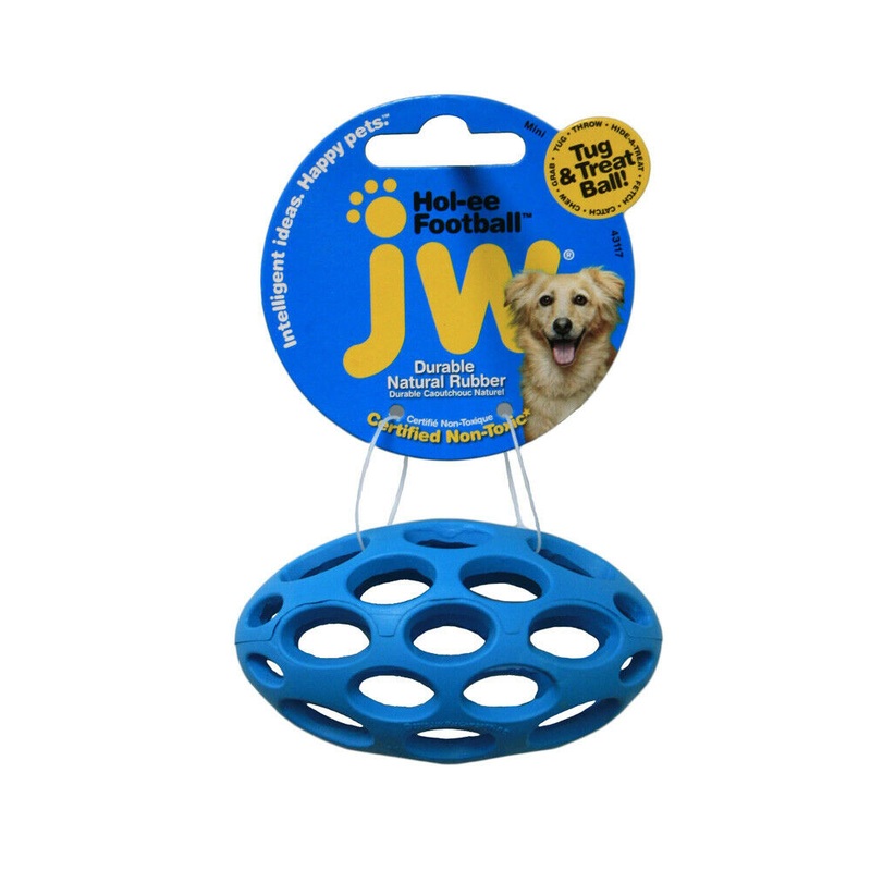 JW Hollee Football Mini
