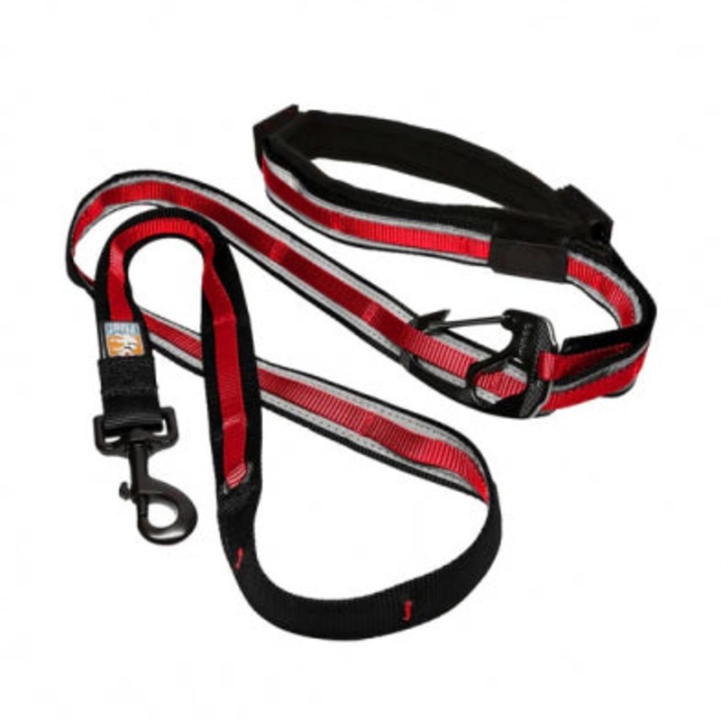 Kurgo Reflect & Protect Quantum Leash Barn Red