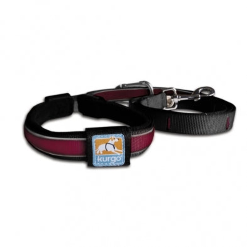 Kurgo Reflect & Protect Quantum Leash Raspberry