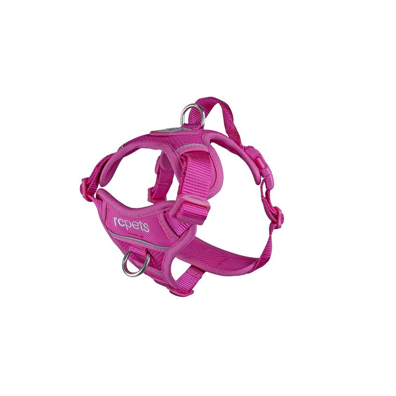 Momentum Harness Small Fuchsia