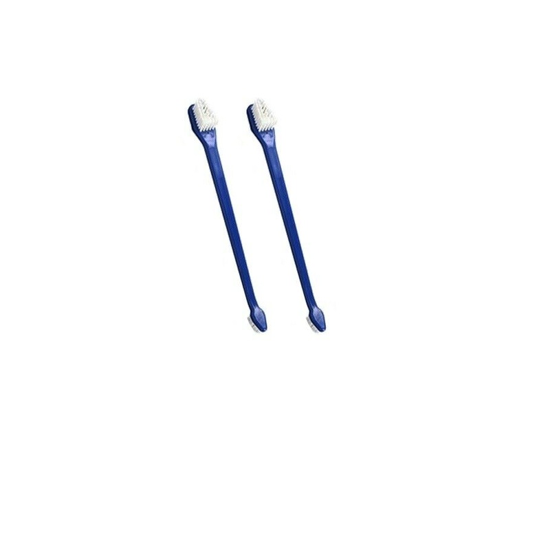 Bluestem Tootbrush Set 2pk