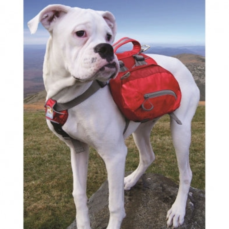 KUR Big Baxter Pack 110lbs Red