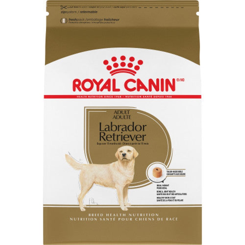 RC BHN Labrador Retriever 27 lb