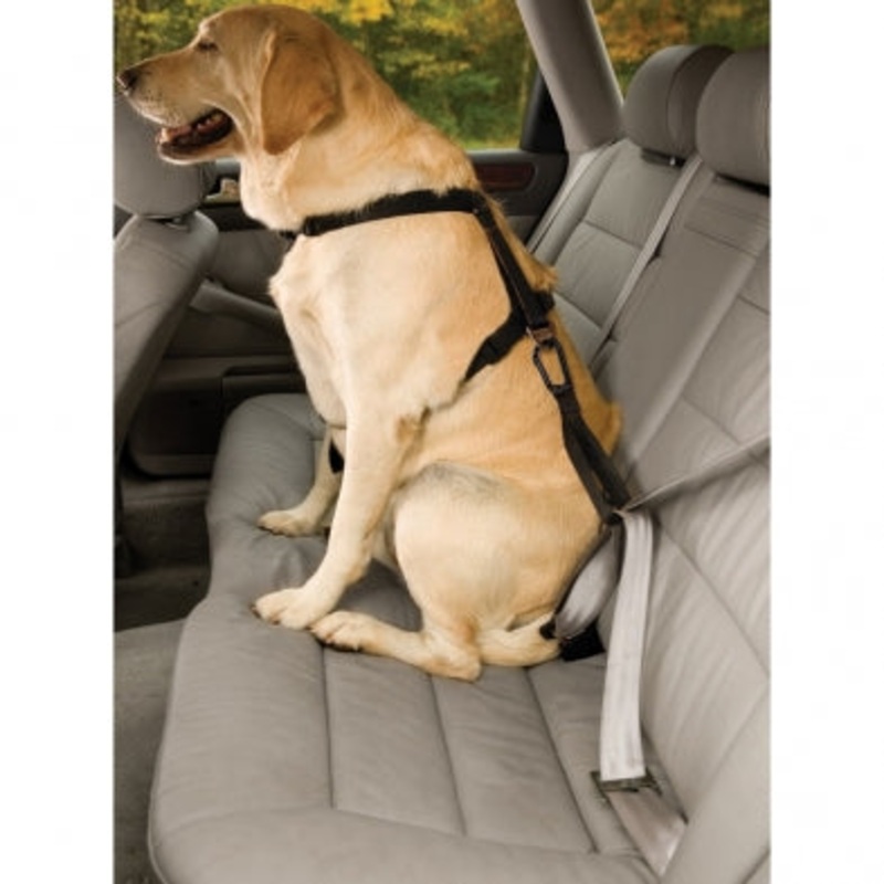 Seat belt Tether w/ Carabiner