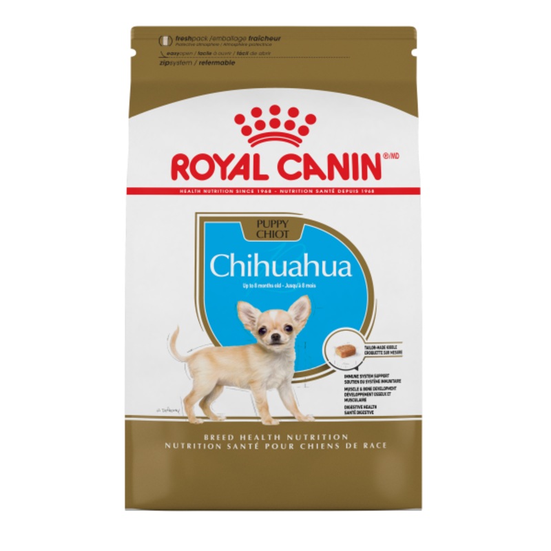 RC BHN Chihuahua Puppy 2.5lbs