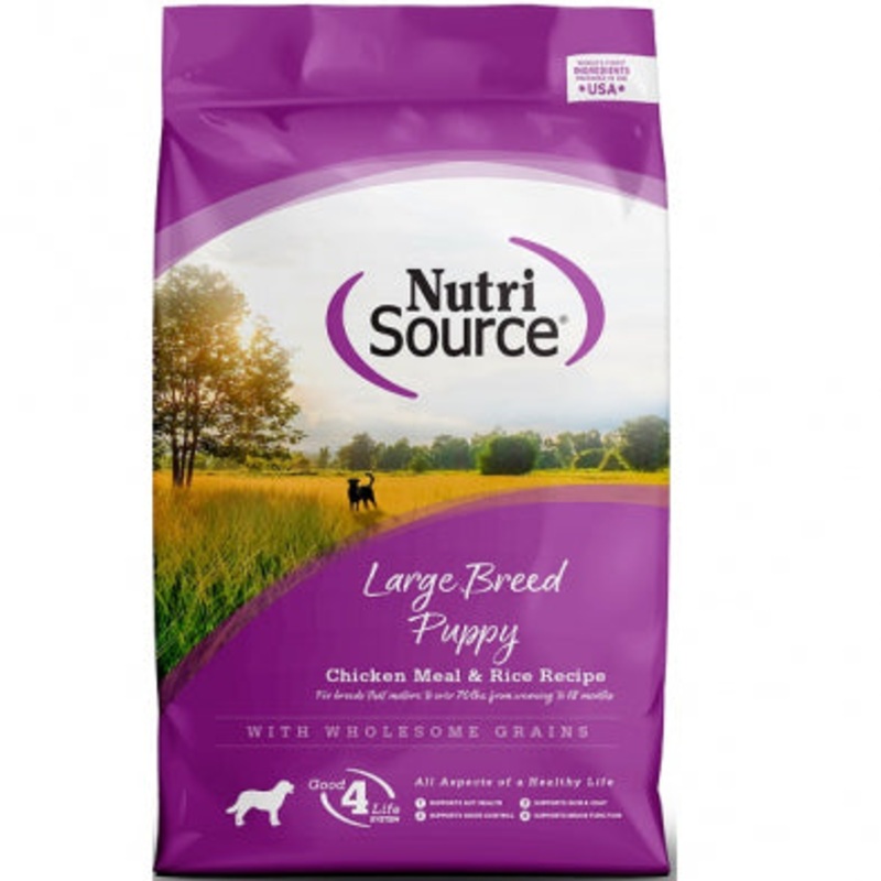 NS Large Breed Puppy