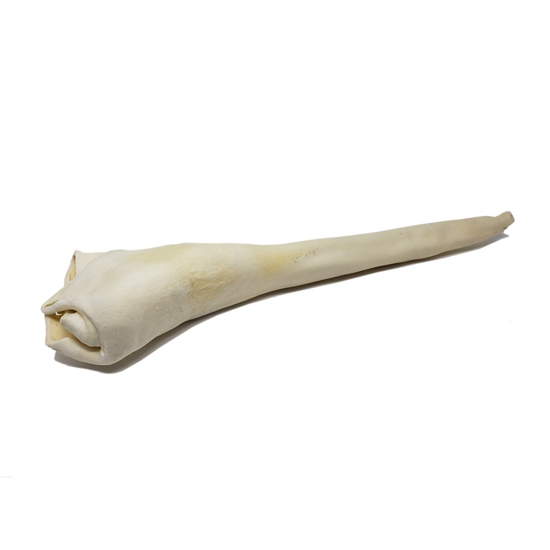 Open Range Bull Tail Full Length 22-24"